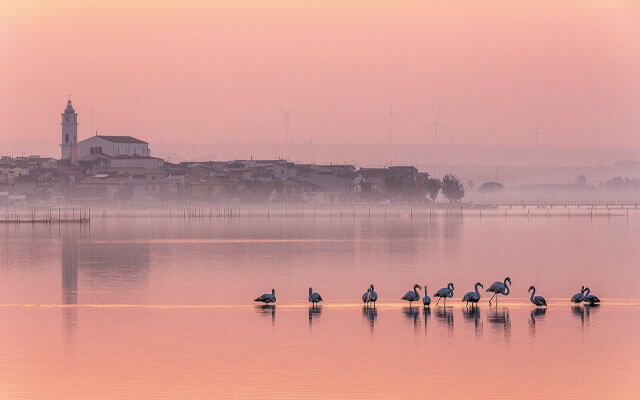 lake of lesina