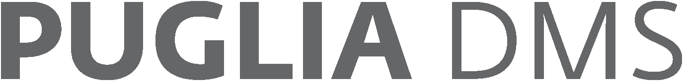 assets/dms logo